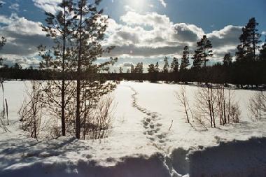 Ferienhaus am see schweden zu vermieten 4-8 pers.045529947199 ei