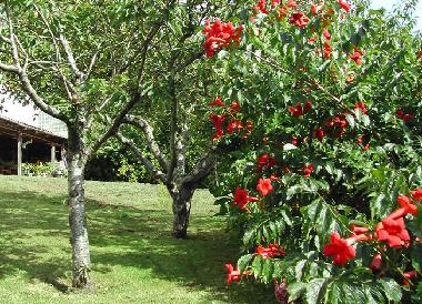 Ferienhaus in Lamadrid, Vald�liga (Cantabria) oder Ferienwohnung oder Ferienhaus