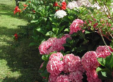 Ferienhaus in Lamadrid, Vald�liga (Cantabria) oder Ferienwohnung oder Ferienhaus