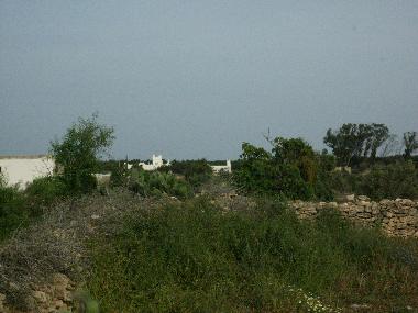 Ferienhaus in sidi kaouki (Essaouira) oder Ferienwohnung oder Ferienhaus