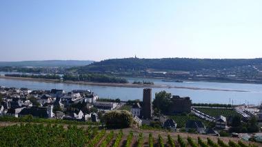 Blick �ber die Br�mserburg-R�desheim zur Rochuskapelle