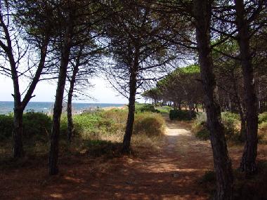 Ferienwohnung in Budoni (Nuoro) oder Ferienwohnung oder Ferienhaus