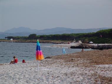 Am Strand von Budoni-Wald
