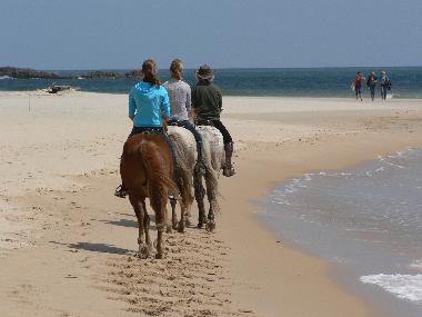 Reitausflug am Meer!