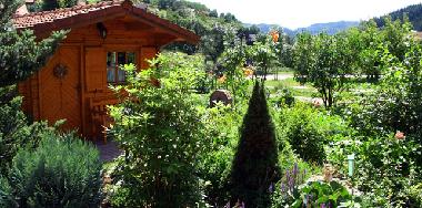 Ferienwohnung in Seebach (Schwarzwald) oder Ferienwohnung oder Ferienhaus