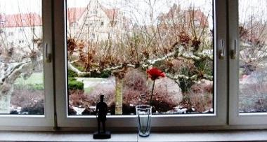 Ferienwohnung in Speyer (Pfalz) oder Ferienwohnung oder Ferienhaus