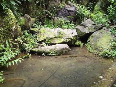 Ferienhaus in Rio de Janeiro (Rio de Janeiro) oder Ferienwohnung oder Ferienhaus