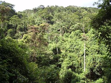 Ferienhaus in Rio de Janeiro (Rio de Janeiro) oder Ferienwohnung oder Ferienhaus