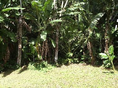 Ferienhaus in Rio de Janeiro (Rio de Janeiro) oder Ferienwohnung oder Ferienhaus