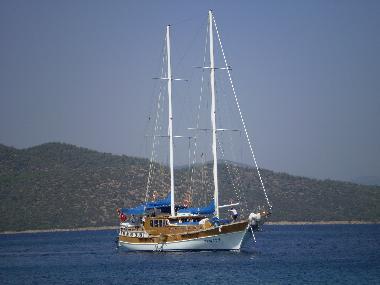 Ferienwohnung in Tuzla (Mugla) oder Ferienwohnung oder Ferienhaus
