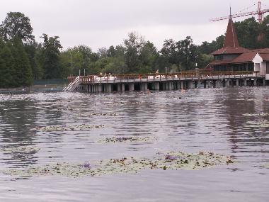 Hotel in Heviz (Veszprem) oder Ferienwohnung oder Ferienhaus