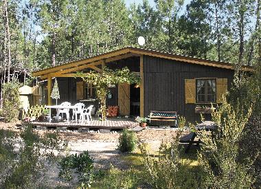 Das schöne Ferienhaus liegt im sonnigen Pinienwald.