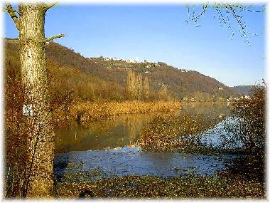 Ferienwohnung in Arcugnano (Vicenza) oder Ferienwohnung oder Ferienhaus