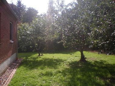 Obstb�ume im Garten