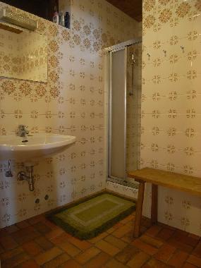 Ferienwohnung in Saalbach Hinterglemm (Pinzgau-Pongau) oder Ferienwohnung oder Ferienhaus