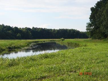 Ferienwohnung in Ueckermuende (Mecklenburgische Ostseek�ste) oder Ferienwohnung oder Ferienhaus
