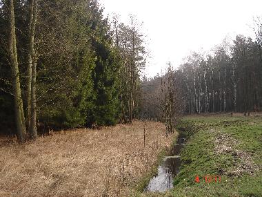 Ferienwohnung in Ueckermuende (Mecklenburgische Ostseek�ste) oder Ferienwohnung oder Ferienhaus