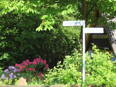 Ferienhaus in Gossersweiler-Stein (Pfalz) oder Ferienwohnung oder Ferienhaus