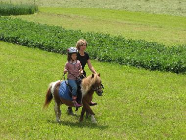 Chalet in Mariapfarr (Lungau) oder Ferienwohnung oder Ferienhaus