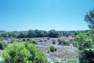 Ferienhaus in Es Carritxo (Mallorca) oder Ferienwohnung oder Ferienhaus