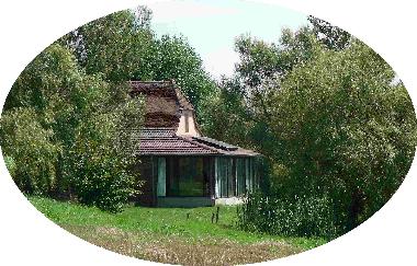 eingebettet ins Gr�ne