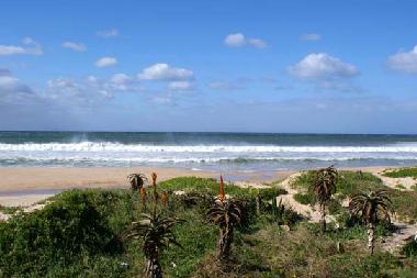 Strand Jeffreys Bay