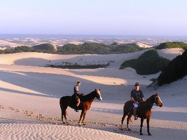 Strandreiten in den D�nen von Jeffreys Bay 