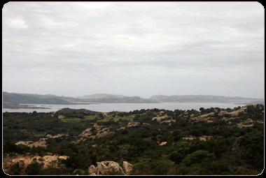 Blick vom Aussichtsturm des Hauses 