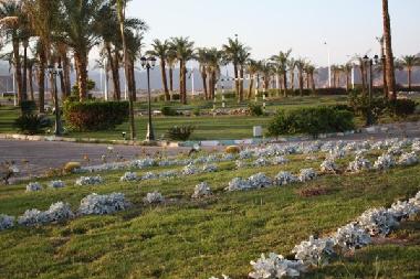 Ferienwohnung in Naama Bay (Shamal Sina