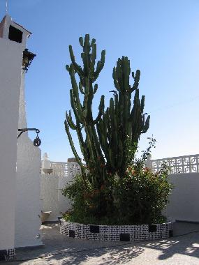 Chalet in La Campaneta (Murcia) oder Ferienwohnung oder Ferienhaus