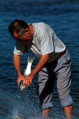 Ferienhaus in Florian�polis (Santa Catarina) oder Ferienwohnung oder Ferienhaus