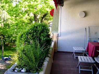 Ferienwohnung in BAD BELLINGEN (Schwarzwald) oder Ferienwohnung oder Ferienhaus