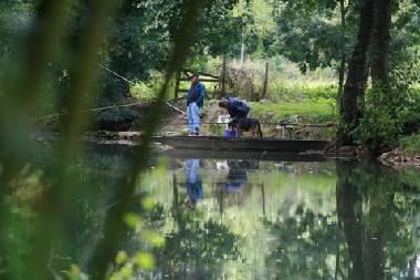 Pension in Velluire (Vend�e) oder Ferienwohnung oder Ferienhaus