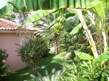 Ferienwohnung in  Ricadi  (Vibo Valentia) oder Ferienwohnung oder Ferienhaus