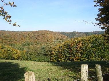 Ihr Ausblick direkt vor der Haustr im frhen Herbst