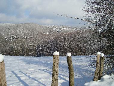 Ihr Ausblick direkt vor der Haustr im Winter