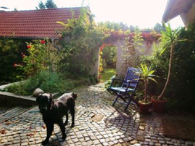 der innenhof mit shiva, unserem teilzeithund