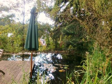 der schwimmteich im herbst