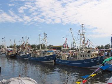 Der Hafen in Friedrichskoog