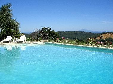 Das Schwimbad mit Oleandern