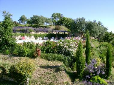 �lba�me, Lavendel und Oleandern