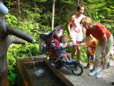 Ferienwohnung in Russbachsaag 150 (Salzburg und Umgebung) oder Ferienwohnung oder Ferienhaus