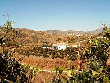 Ferienhaus in Almchar / Velez-Malaga (Mlaga) oder Ferienwohnung oder Ferienhaus