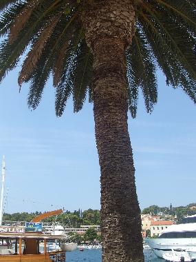 Ferienwohnung in HVAR (Splitsko-Dalmatinska) oder Ferienwohnung oder Ferienhaus