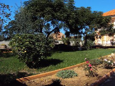 Ferienwohnung in Privlaka-Zadar (Zadarska) oder Ferienwohnung oder Ferienhaus