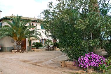 Ferienhaus in Sa Pobla (Mallorca) oder Ferienwohnung oder Ferienhaus