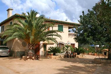 Ferienhaus in Sa Pobla (Mallorca) oder Ferienwohnung oder Ferienhaus