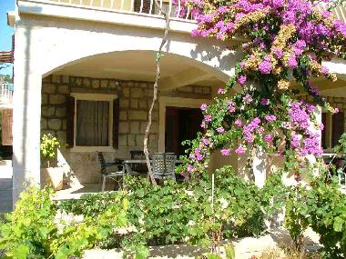 Ferienwohnung in Vini�će (Splitsko-Dalmatinska) oder Ferienwohnung oder Ferienhaus
