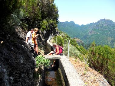 Ferienwohnung in Canico de Baixo (Madeira) oder Ferienwohnung oder Ferienhaus
