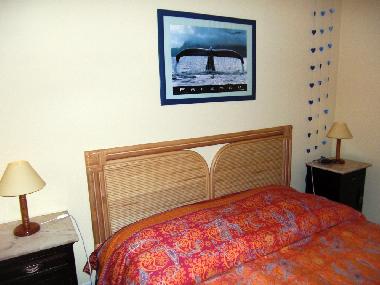 Schlafen unterm Sternenhimmel